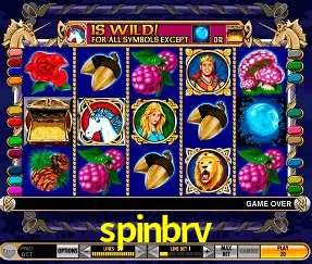 VIP Casino spinbrv