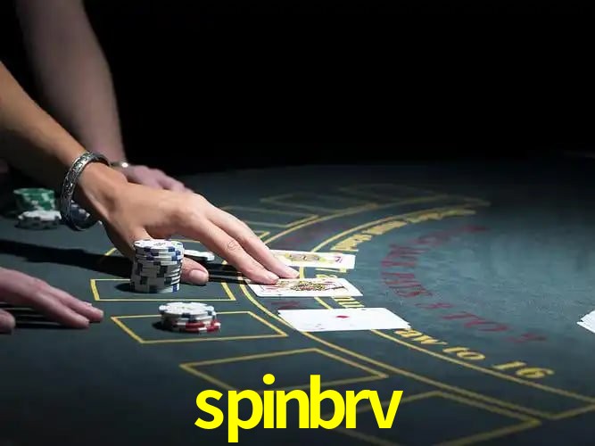 Security Systems spinbrv